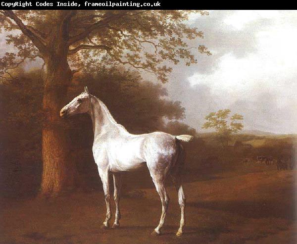Agasse, Jacques-Laurent White Horse in Pasture